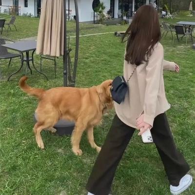 狂飙的蜗牛